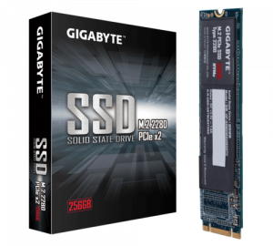 Gigabyte 256GB NVMe SSD (Read Speed 1,100MB/s,M.2 2280)